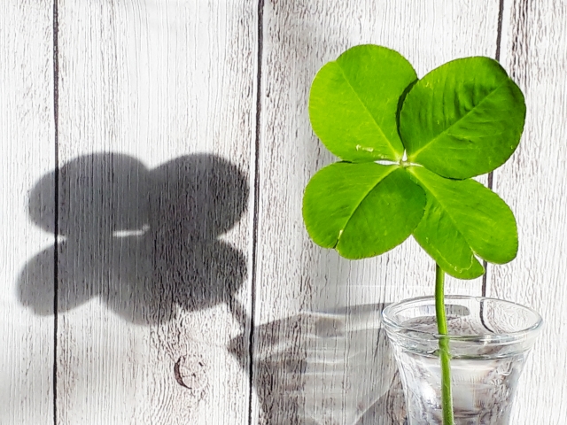 『健康日本21』の策定支援