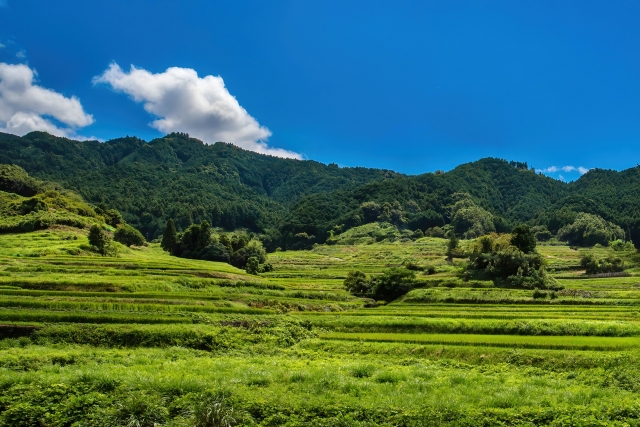 地方版総合戦略・人口ビジョン